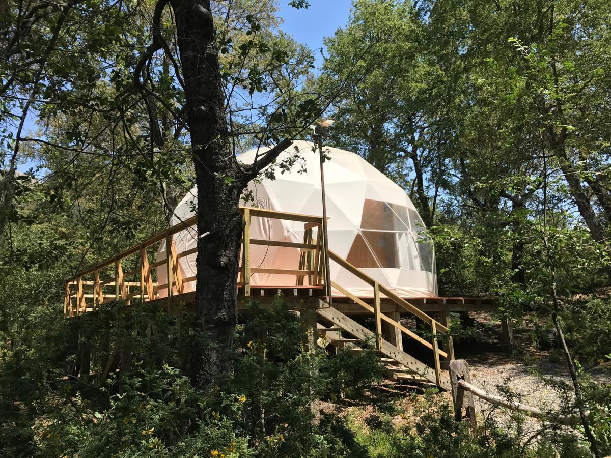 Hotel Glamping Domos Treepod Las Trancas Exterior foto